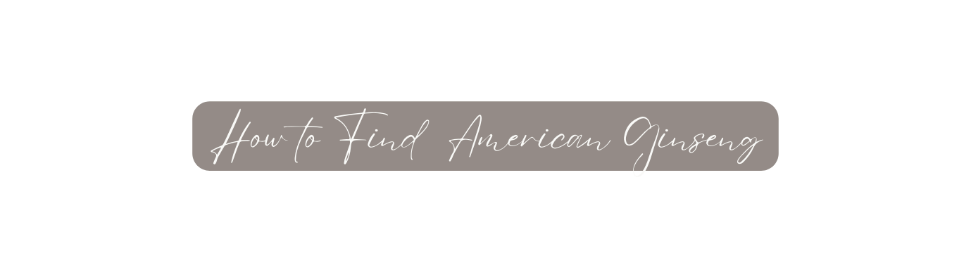 How to Find American Ginseng