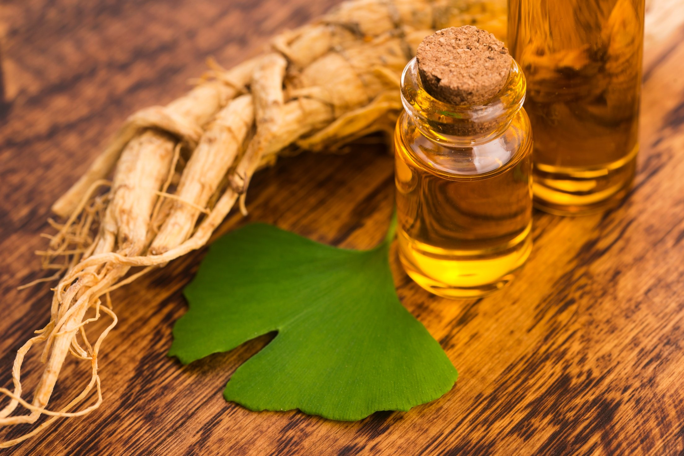 Extract of ginseng root and ginkgo biloba leaves